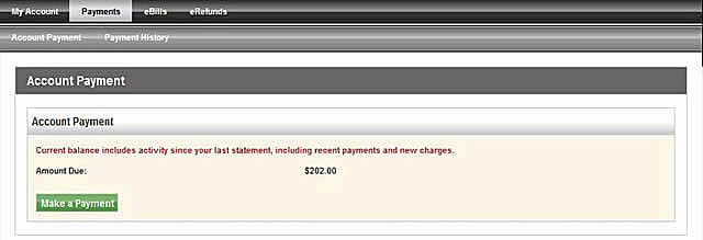 Click make a payment