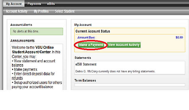 Making a Payment as an Authorized User