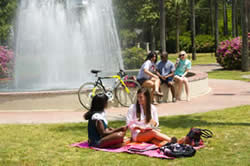  Students on the front lawn