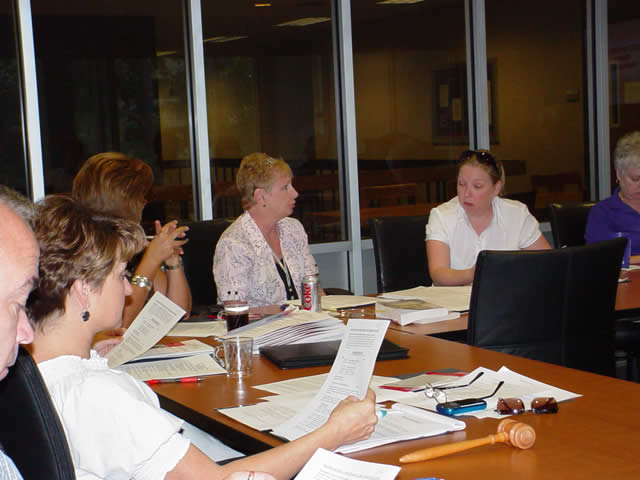 Advisory Council conducting a meeting