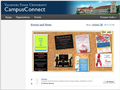 Information on student organizations can be found through campus connect