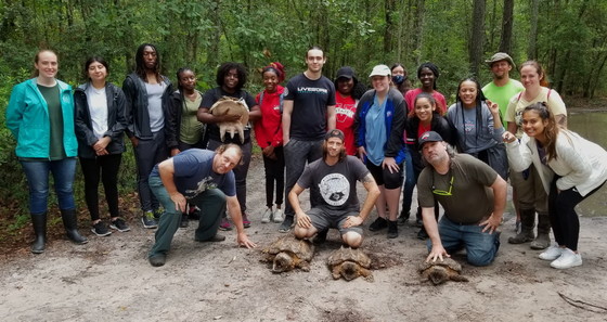 Herpetology Class Assists with Turtle Survey