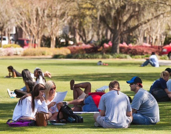 Students studying on front lawn