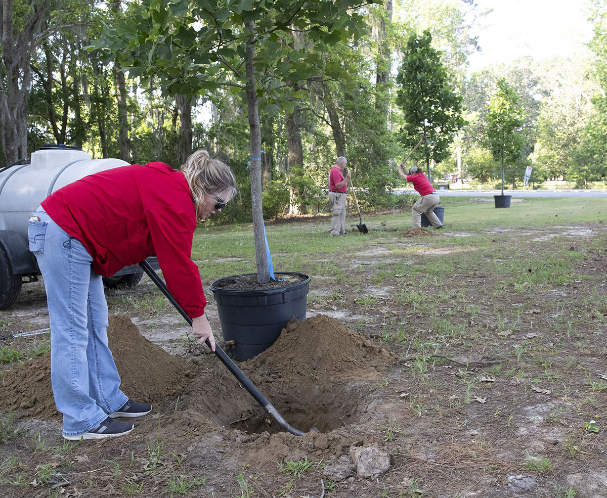 vsu19281national-arbor-day.jpg