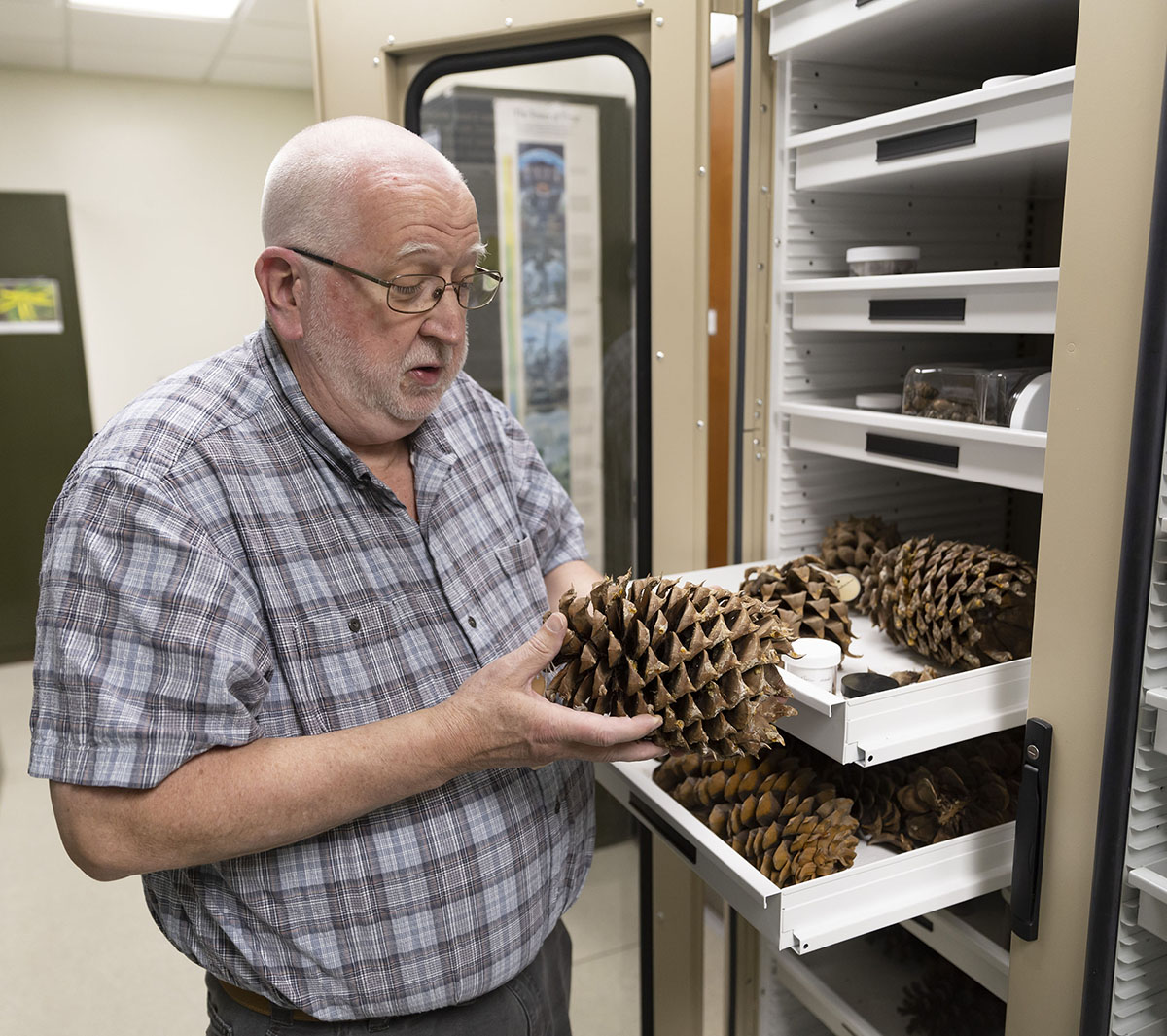 vsu33428-herbarium.jpg