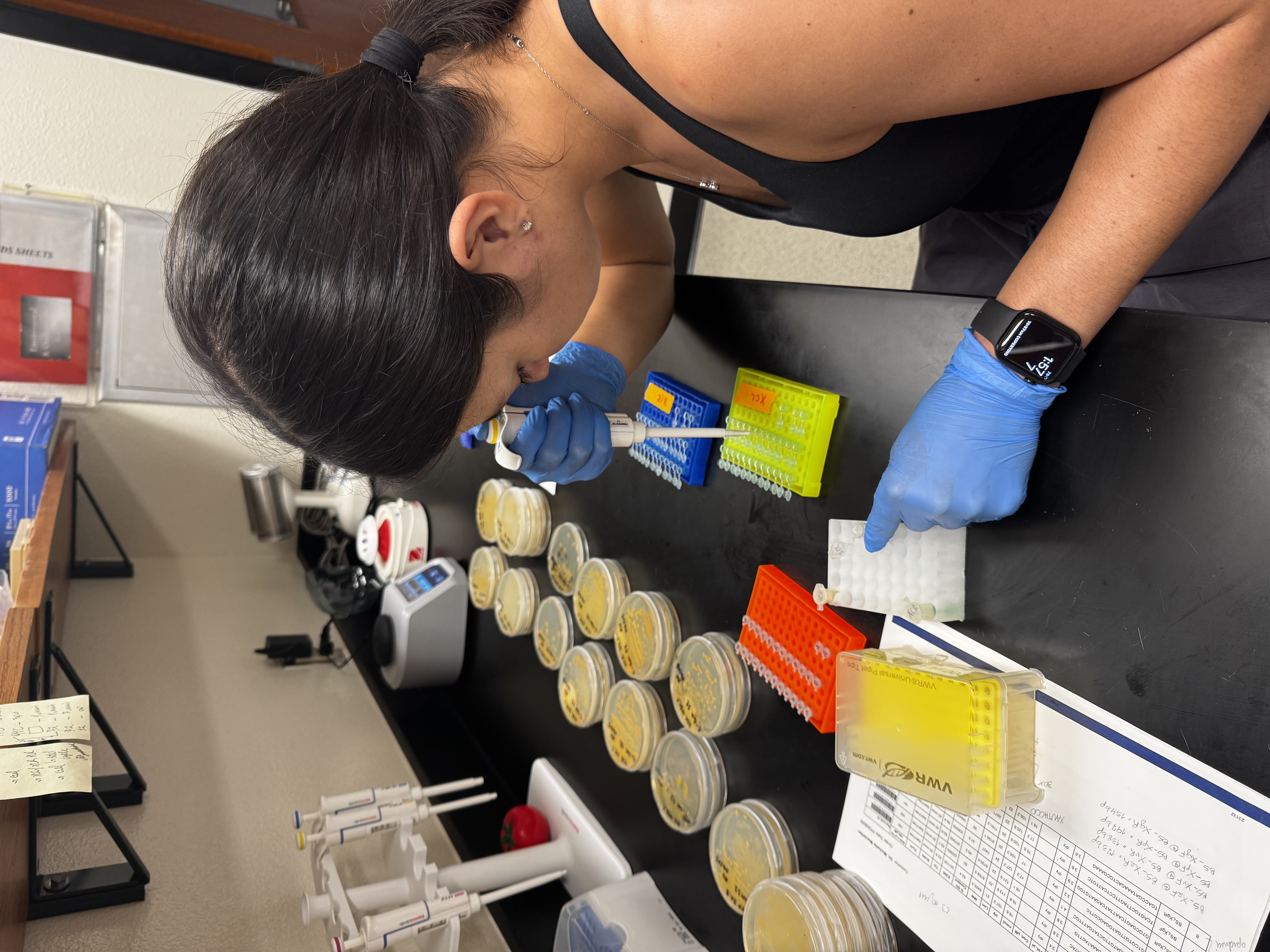 student in biology lab