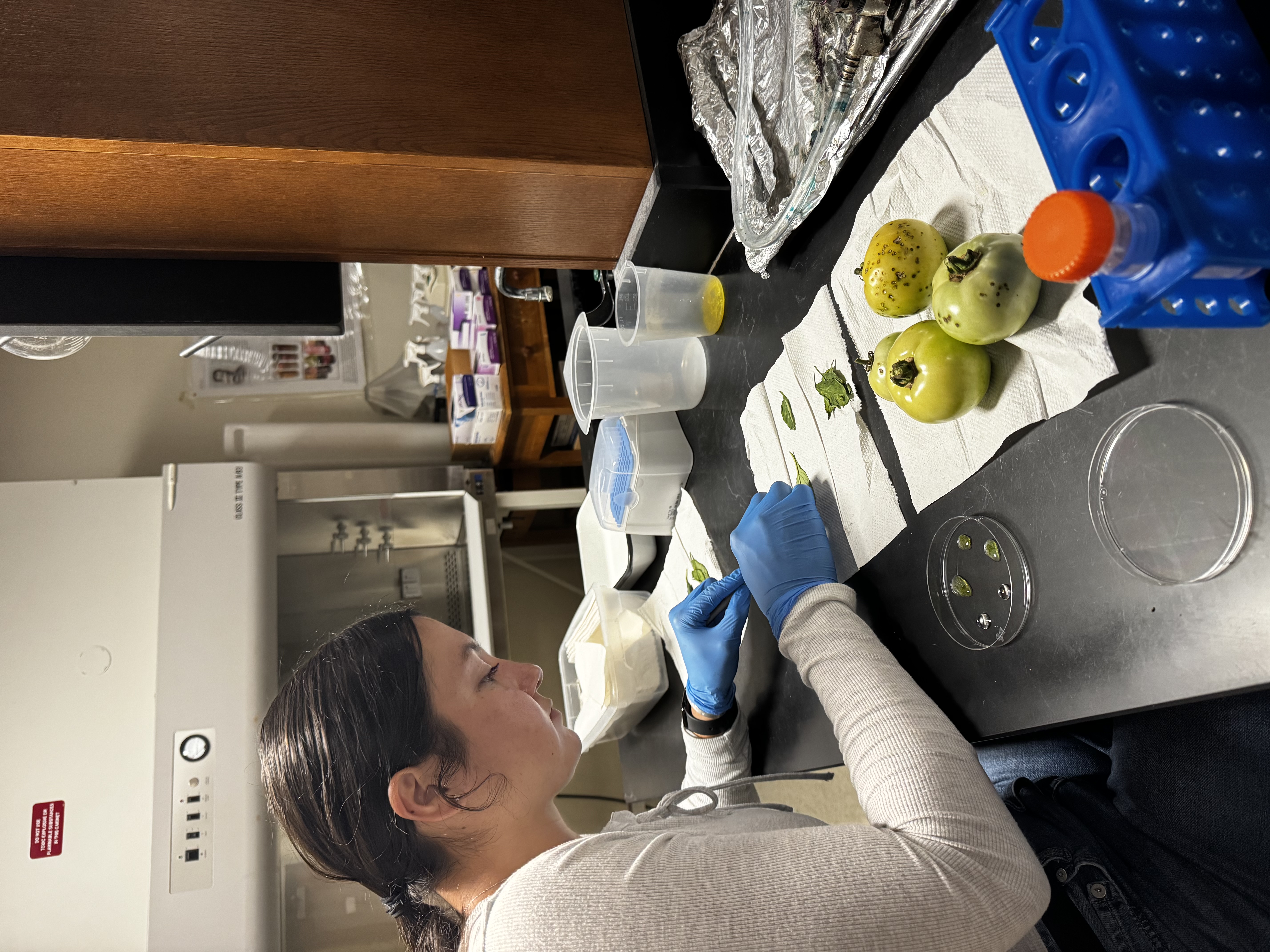 student in biology lab