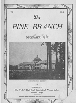 PineBranch Excerpt