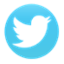 Twitter Button
