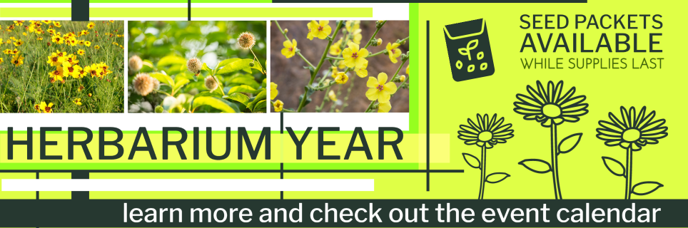 Herbarium Year