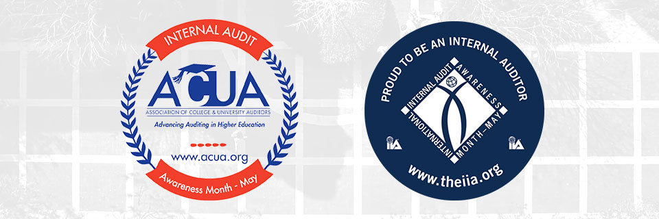 Internal Audit Awareness Month