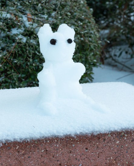 snow-man.jpg