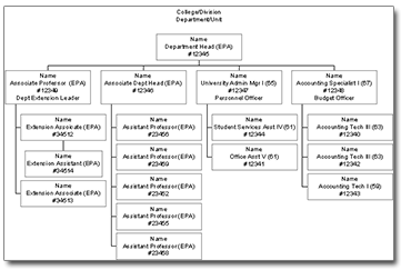 Finance Organizational Chart Examples