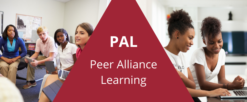 peer-alliance learning banner image of students studying together