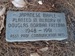 japanesemaplesign