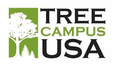 tree campus usa logo