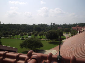 View From Roof