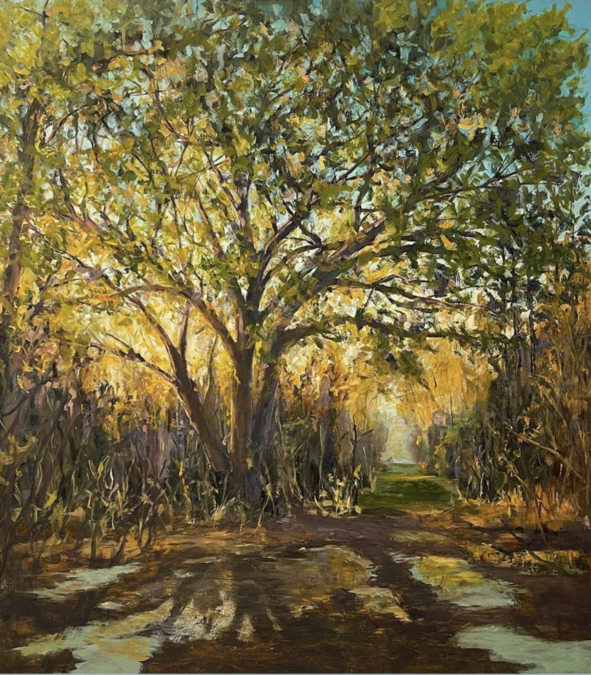 hannah-trees.jpg