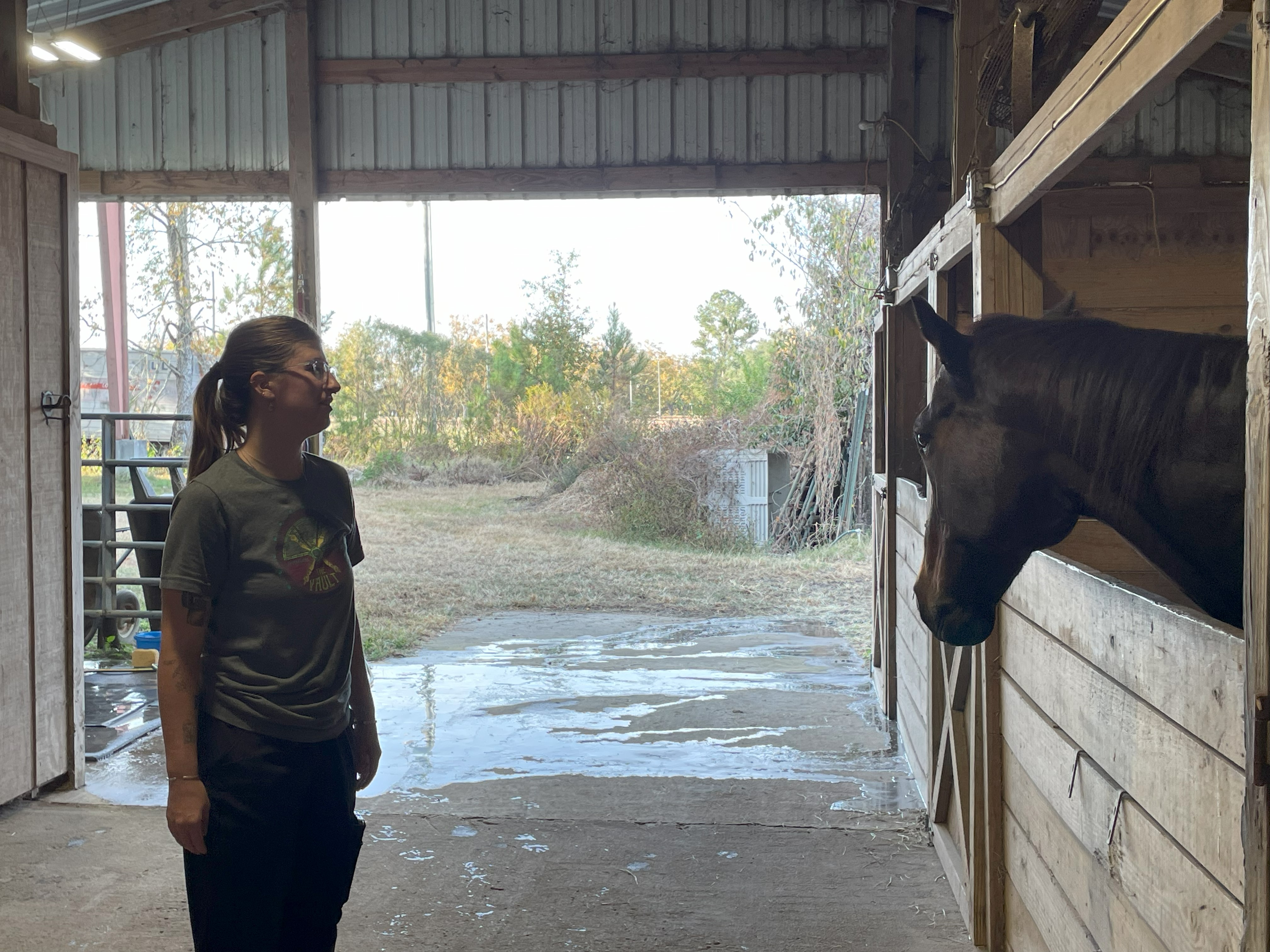 abbylooking-at-horse-in-stall.jpg