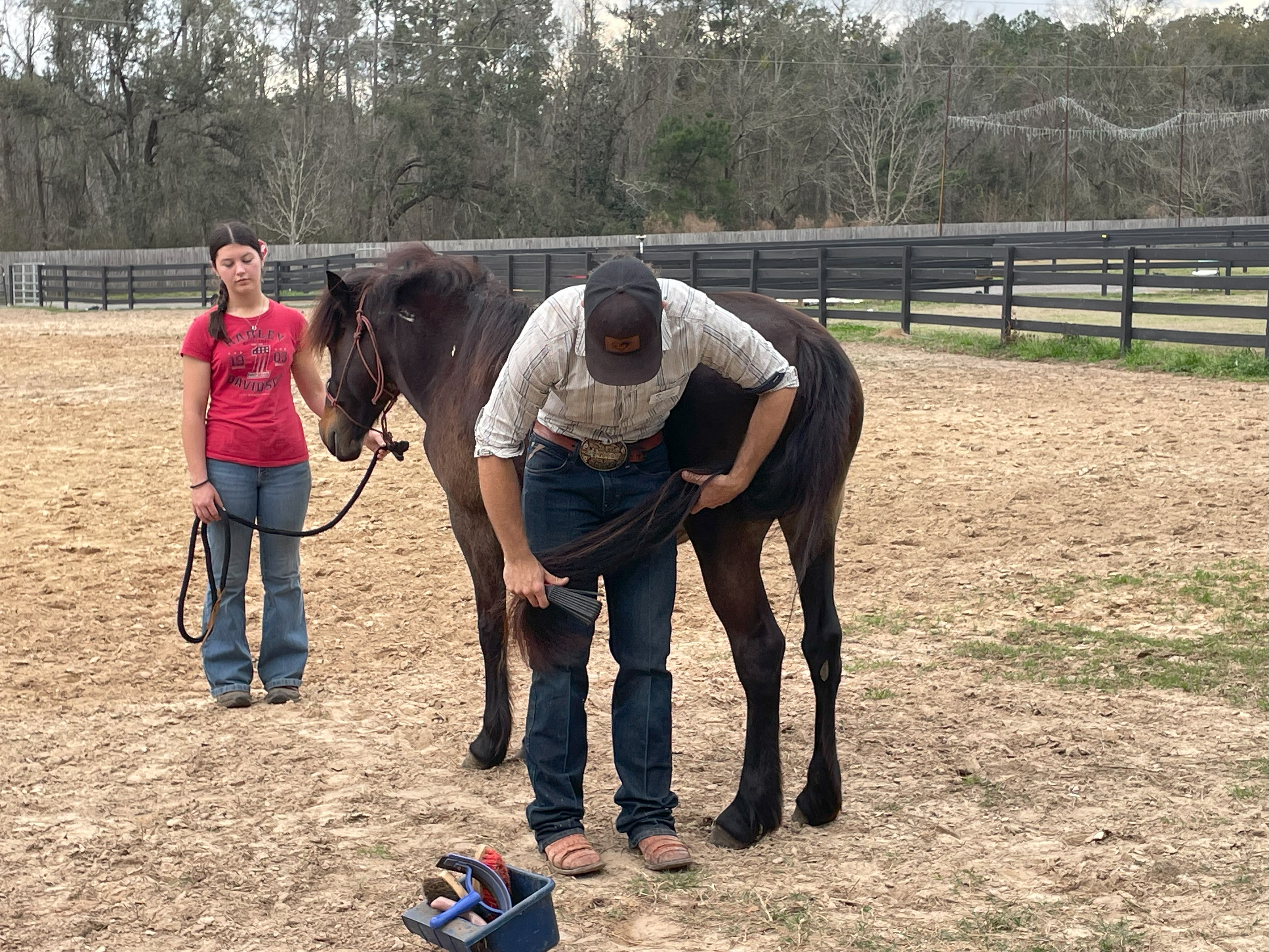 garrett-grooming-a-horse-tail.jpg