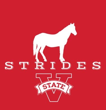 strides logo