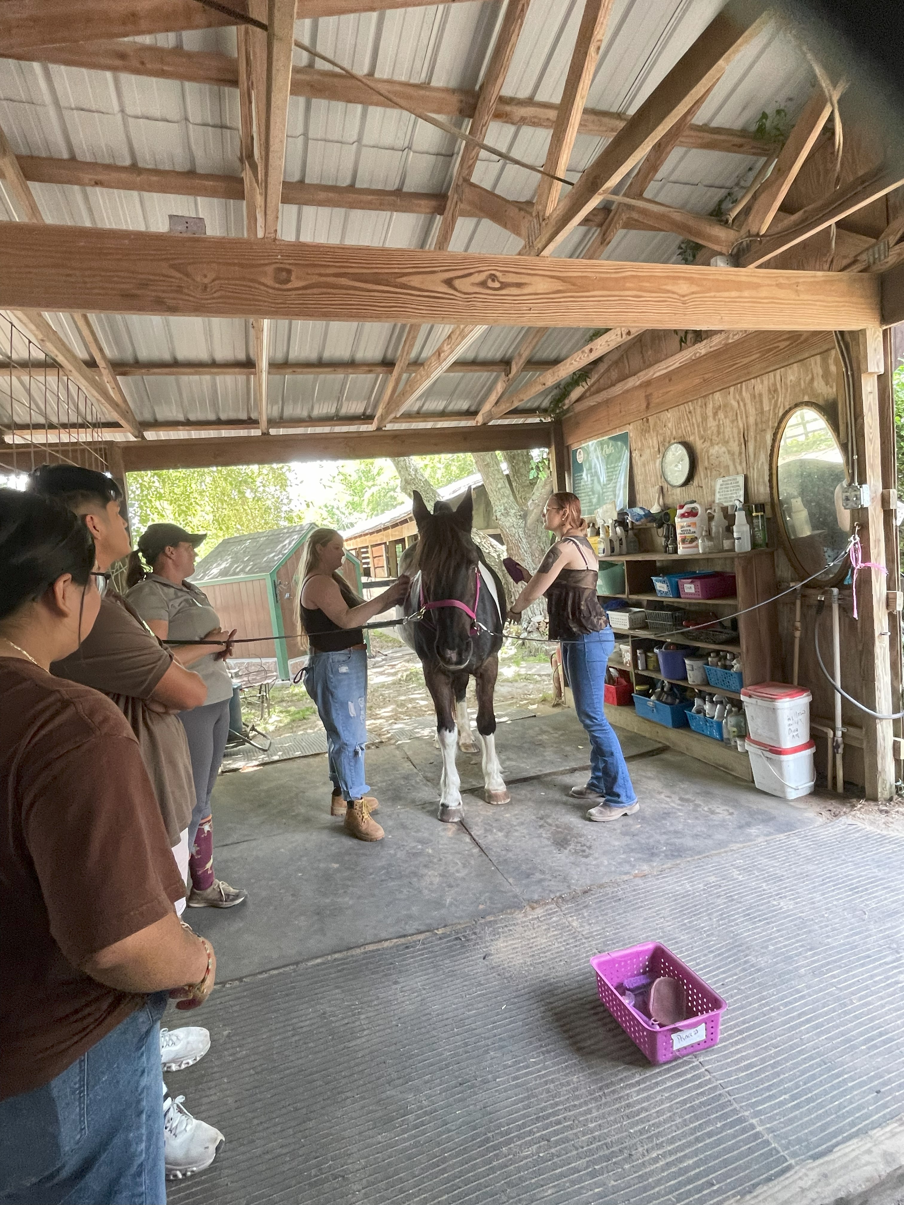 students-grooming-horse-in-barn-aisle.jpg