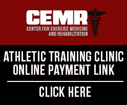 CEMR AT online payment link
