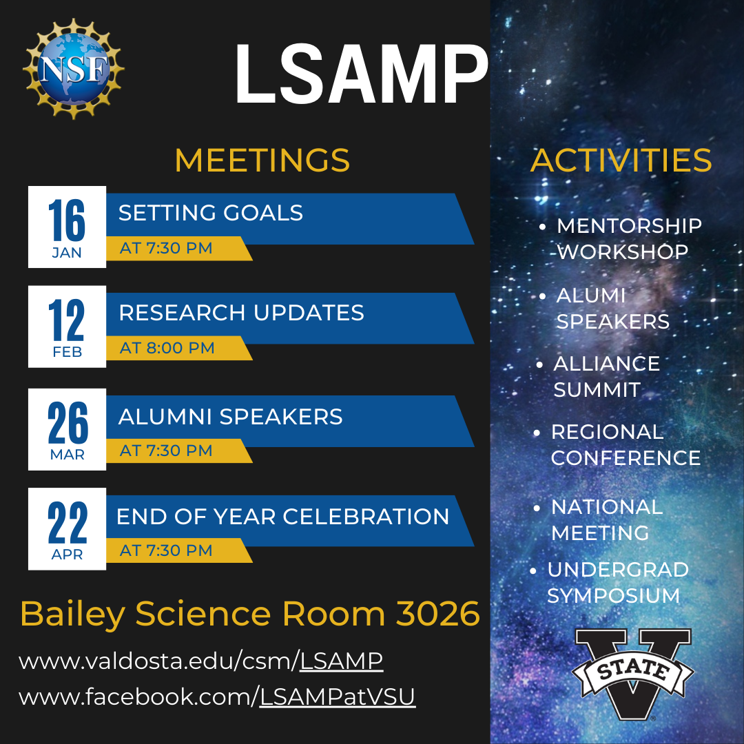 lsamp-spring-2024-activities.png
