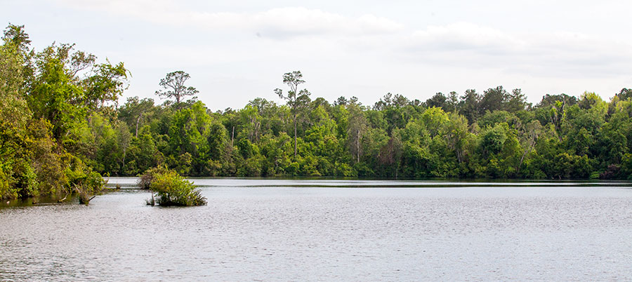 A view of Lake Louise's horizon.