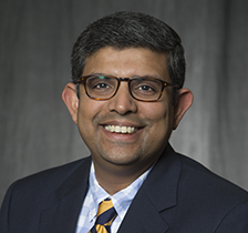 Krishnendu Roy, Ph.D. Portrait