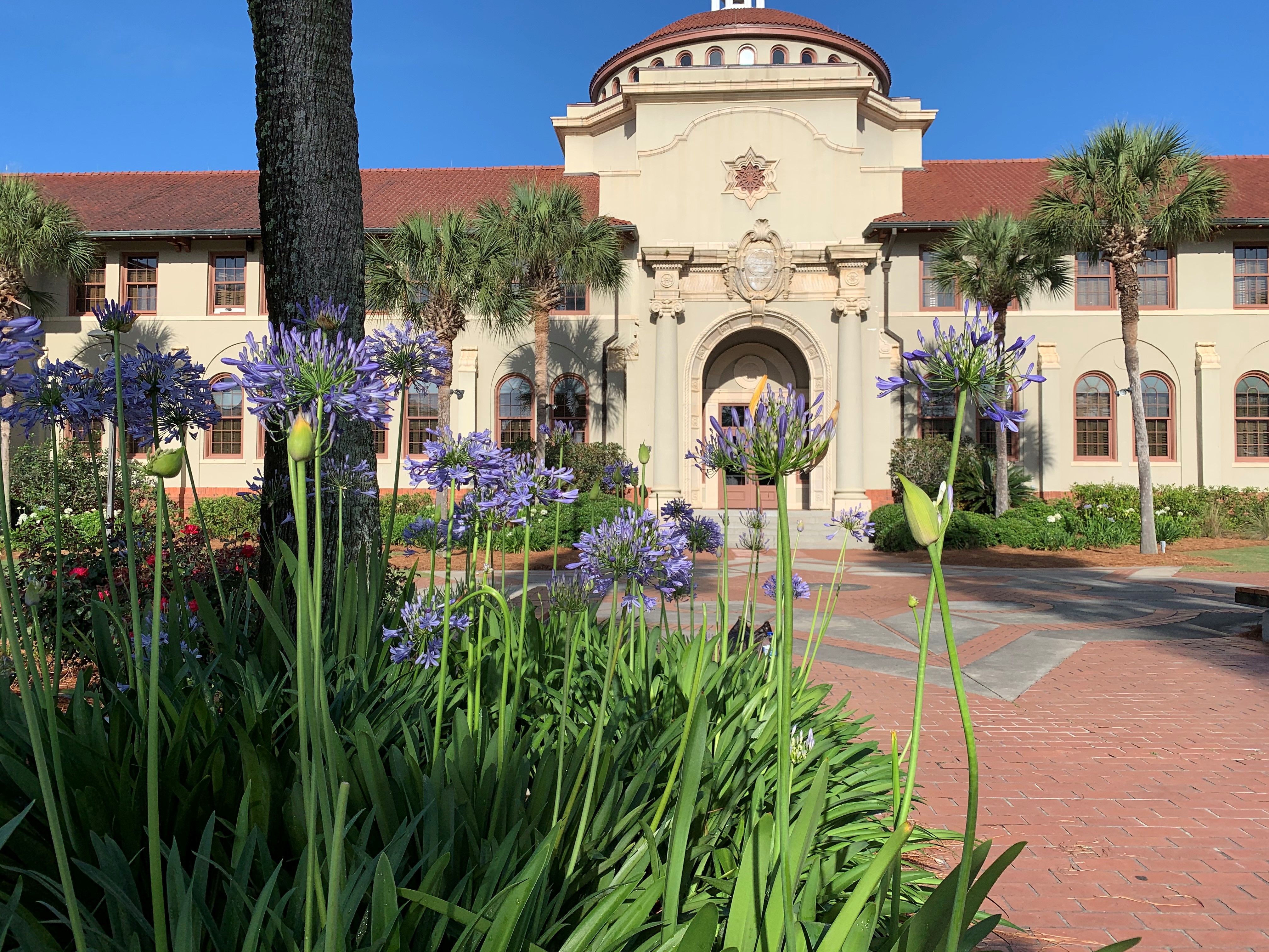 Summertime at VSU Offers Fun for Everyone