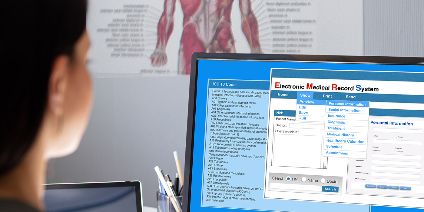 The profile of a white woman with dark hair is seen from behind. She is at a computer with health records information on the screen. On the wall beyond the computer is a blurred image of a poster showing the a portion of the muscle anatomy of the human body with the various muscles labeled.
