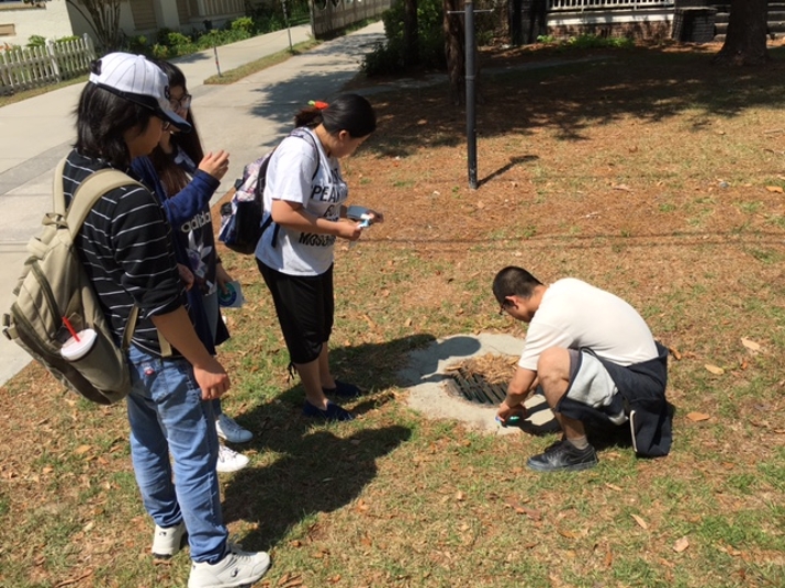 Curb Marking for Students