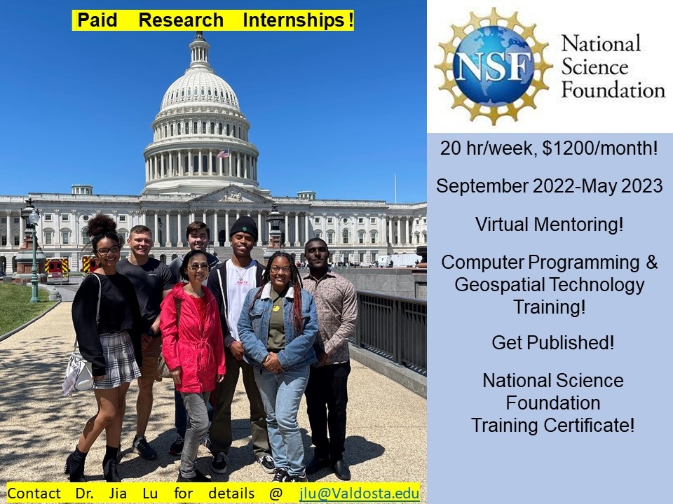 DC_Internship_Flyer_2022