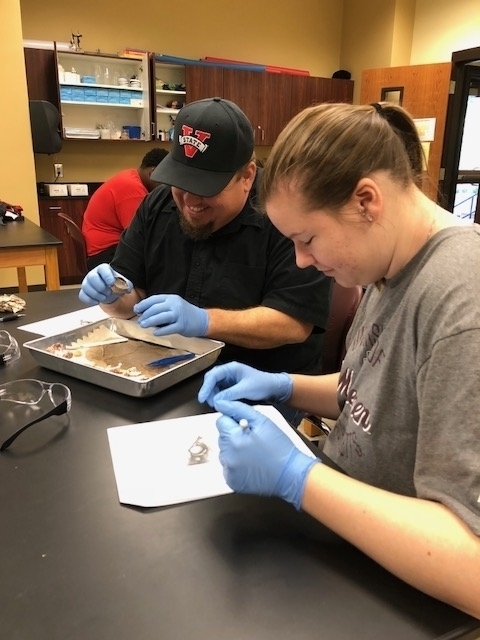 Browne Lab