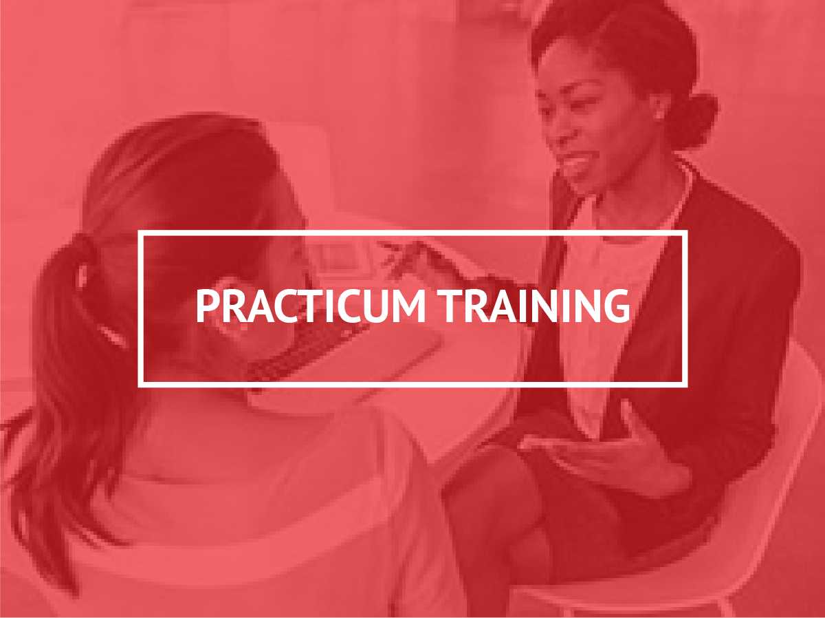 Link to the Practicum Training page.