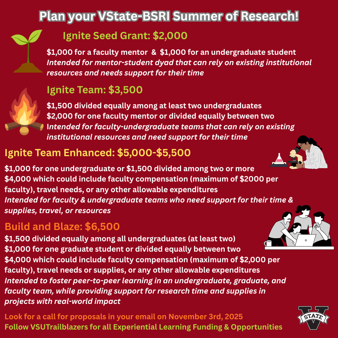 bsri-summer-2026